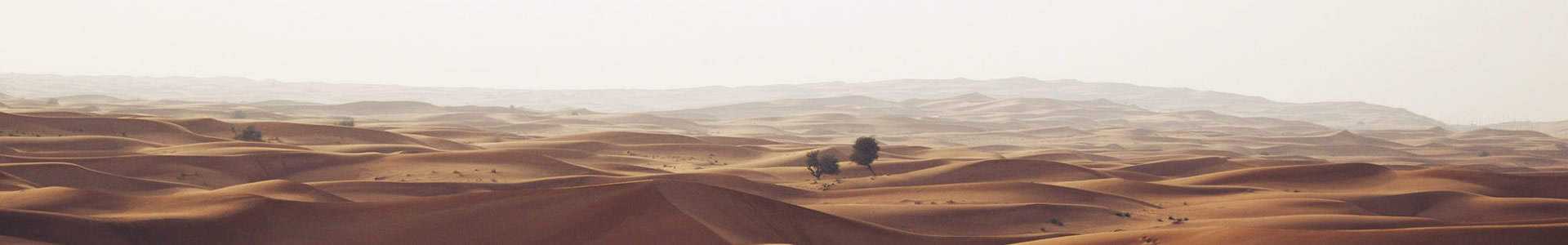 ʱƼ޹˾